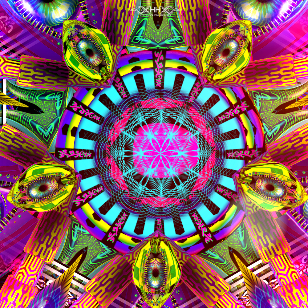 Asteroidea Venusia detail 2