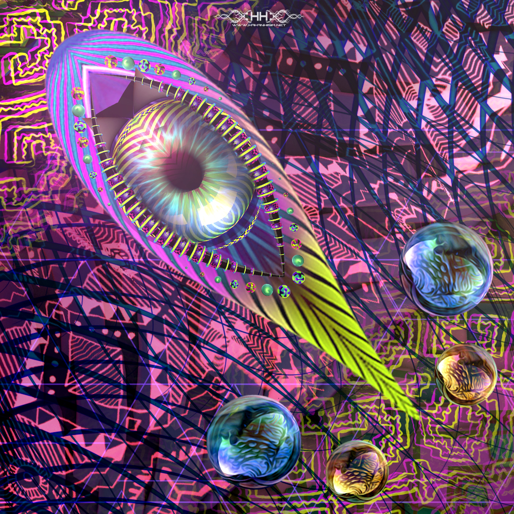 Asteroidea Venusia detail 5