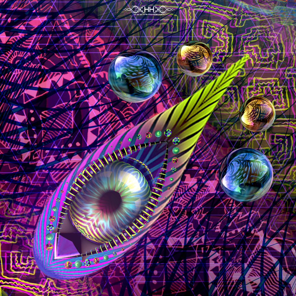 Asteroidea Venusia detail 6