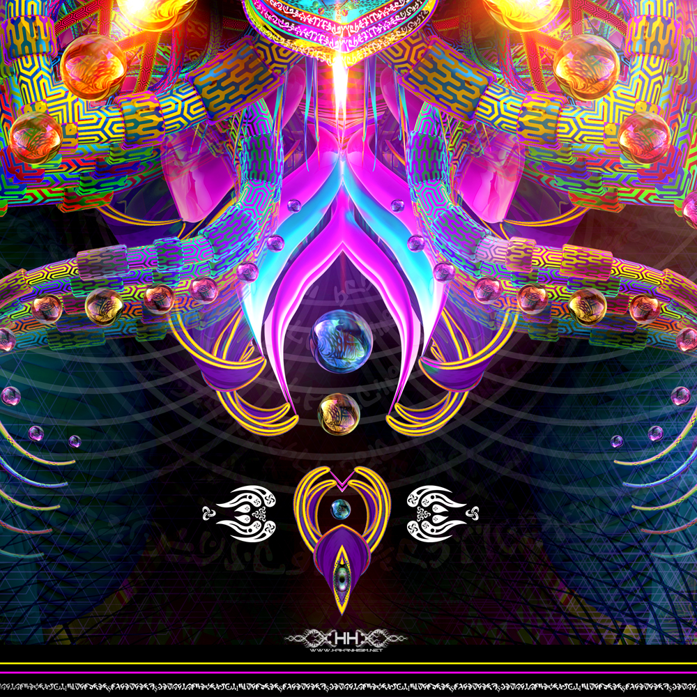 Asteroidea Venusia detail 8