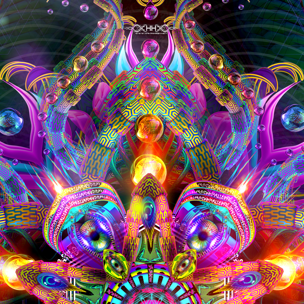 Asteroidea Venusia detail 9