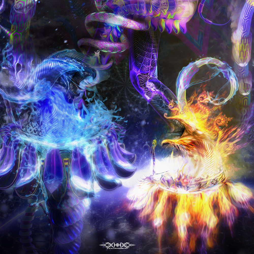 Balancing Duality detail 13