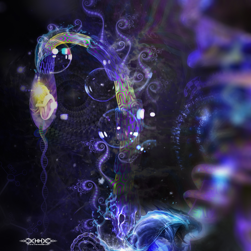 Balancing Duality detail 5