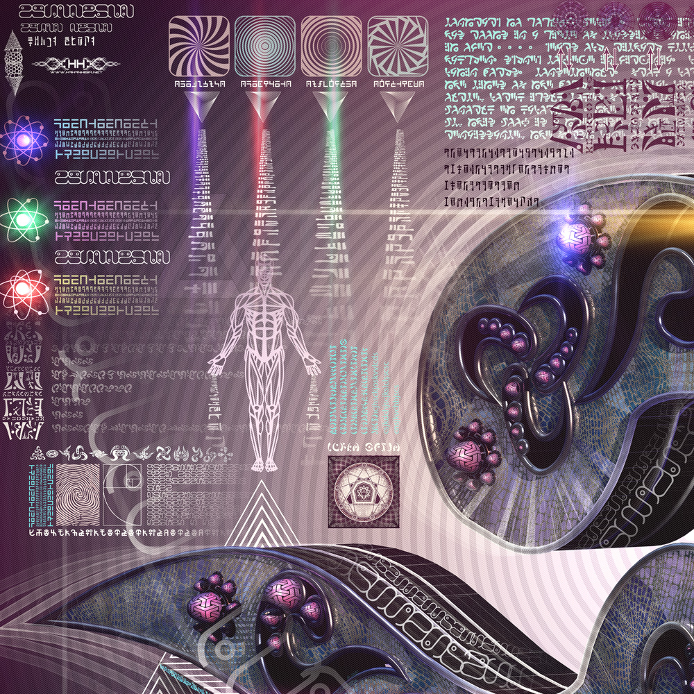 Reversible Ratio detail 13