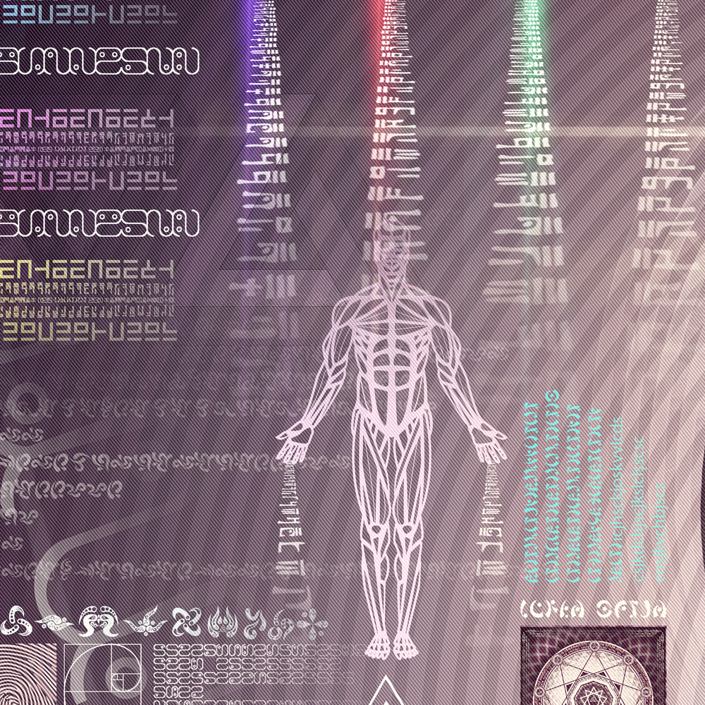 Reversible Ratio detail 8