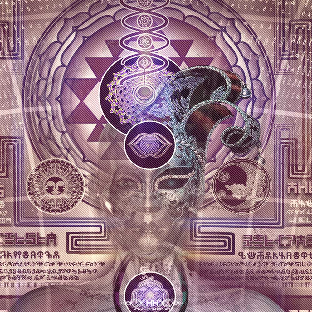 Toroidal Tantra detail 14