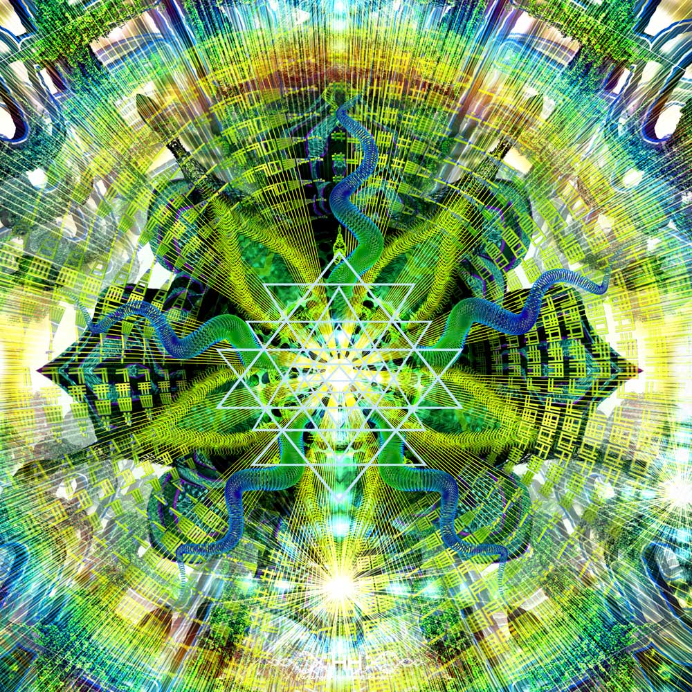 Crysthanamum Unfolding detail 3