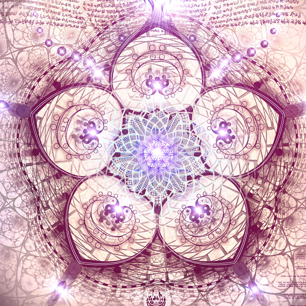 Indra's Net detail 8