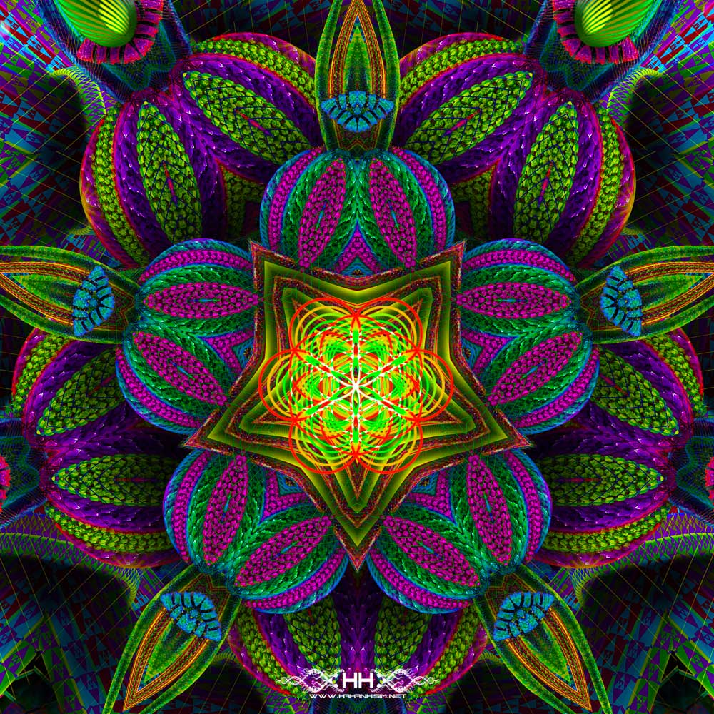 Moksha In Bloom detail 1